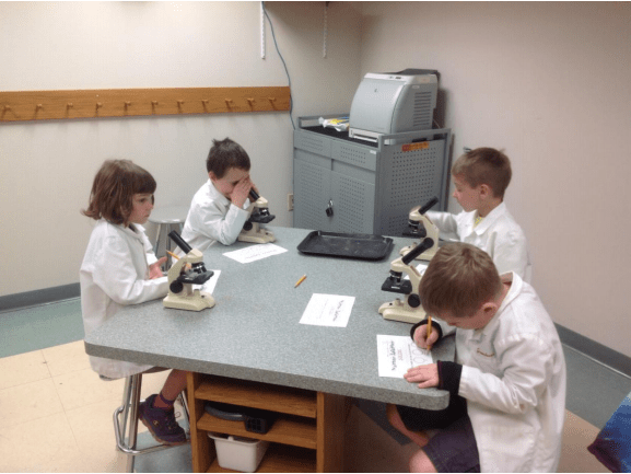 Junior scientists working hard in the lab!