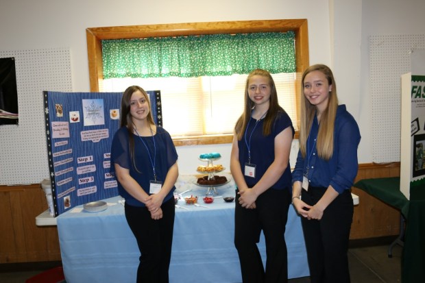 2015 04 29 Bundt Cakes (Medium)